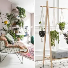 Un coin salon cosy avec un fauteuil confortable et un **jardin d'intérieur appartement** luxuriant. À droite, un portant en bois suspend des plantes en macramé, créant un espace verdoyant.