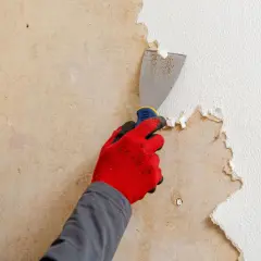 Main tenant, une spatule pour décoller du papier peint. Une astuce de grand-mère pour un chantier propre.
