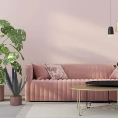 Salon moderne avec canapé rose velours, plantes vertes et tables basses. La couleur complémentaire rose crée une ambiance douce et apaisante.