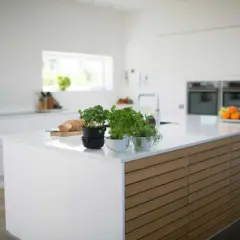 Cuisine moderne avec un îlot central épuré, doté d'une plaque de cuisson discrète et de plantes aromatiques.