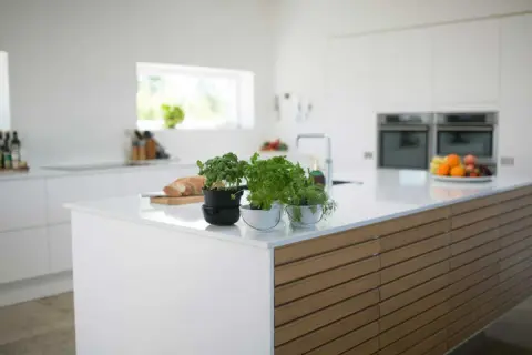 Cuisine moderne avec un îlot central épuré, doté d'une plaque de cuisson discrète et de plantes aromatiques.