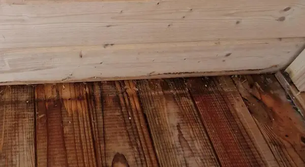 Plancher en bois avec des taches sombres, suggérant une méthode pour comment enlever l'odeur d'urine de chat sur du bois.