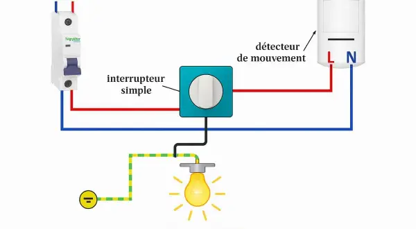 Schéma électrique : disjoncteur, interrupteur simple, détecteur de mouvement et lampe. Le retour lampe interrupteur est bien visible.