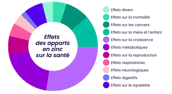 Diagramme circulaire illustrant les effets des apports en zinc sur la santé : croissance, reproduction, métabolisme, etc. pour mieux reconnaître du zinc.