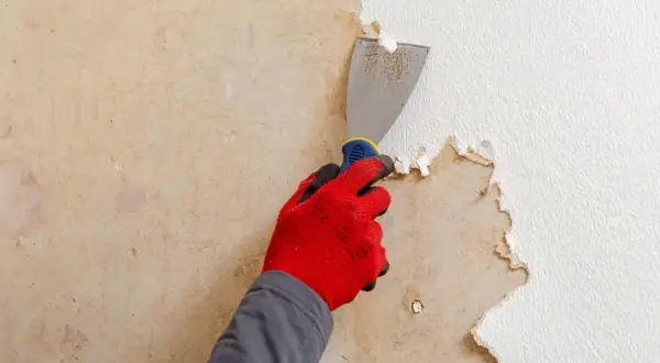 Main tenant, une spatule pour décoller du papier peint. Une astuce de grand-mère pour un chantier propre.