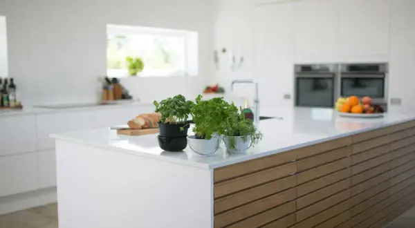 Cuisine moderne avec un îlot central épuré, doté d'une plaque de cuisson discrète et de plantes aromatiques.