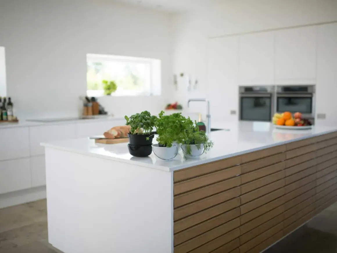 Cuisine moderne avec un îlot central épuré, doté d'une plaque de cuisson discrète et de plantes aromatiques.