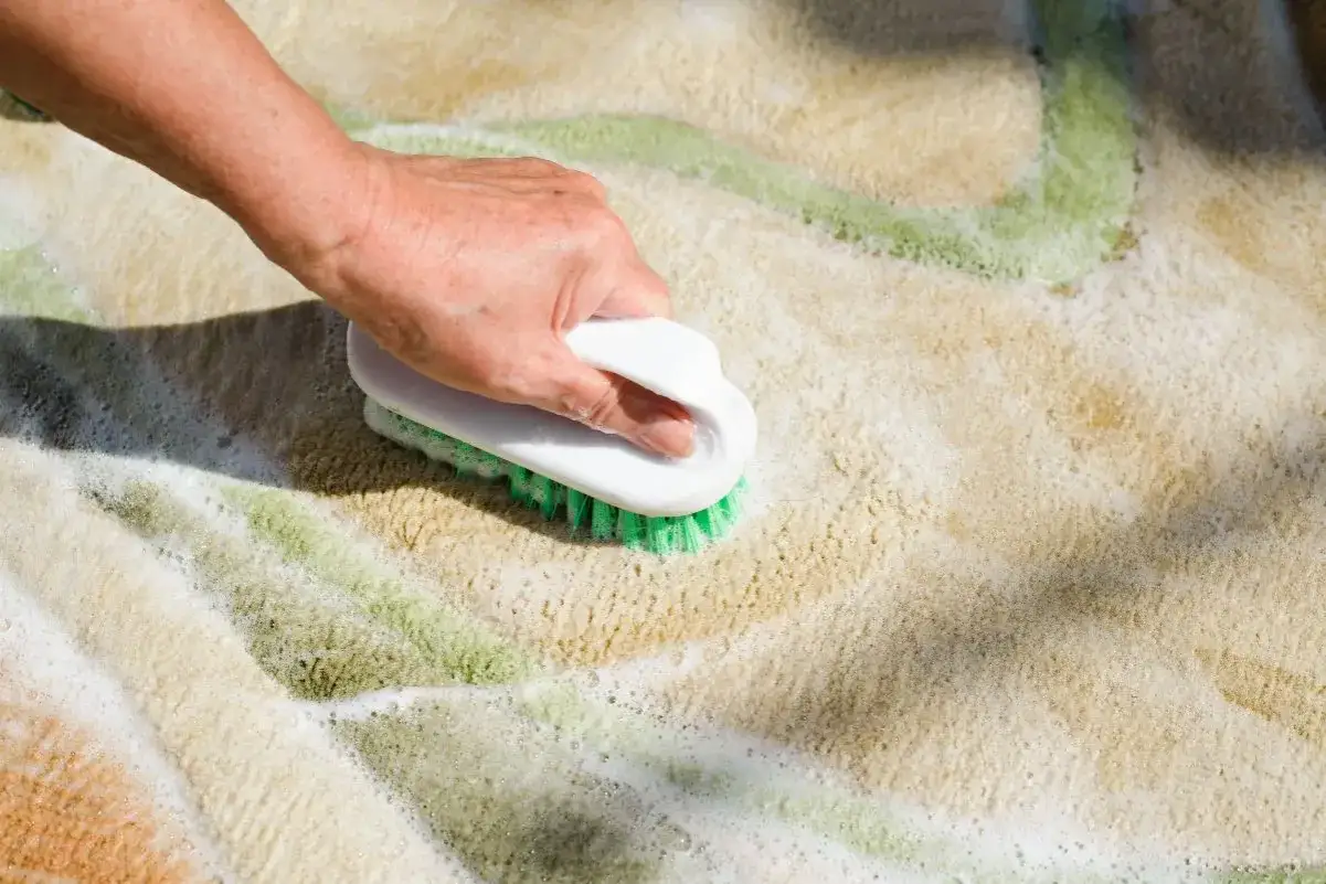 Main d'une personne frottant un tapis avec une brosse pour le nettoyer. La mousse et l'eau recouvrent le tapis.