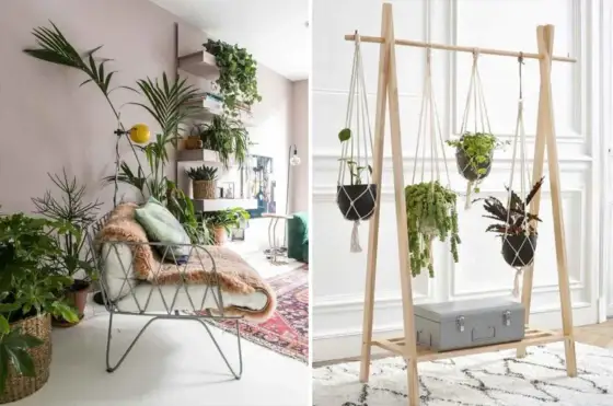 Espace Végétalisé Appartement - Créez un Coin Vert Zen