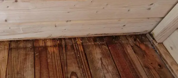 Plancher en bois avec des taches sombres, suggérant une méthode pour comment enlever l'odeur d'urine de chat sur du bois.