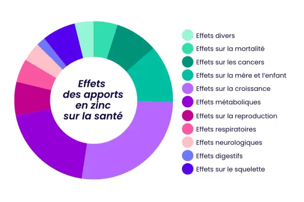 Diagramme circulaire illustrant les effets des apports en zinc sur la santé : croissance, reproduction, métabolisme, etc. pour mieux reconnaître du zinc.