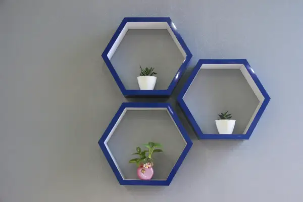 Comment disposer 3 étagères murales hexagonales bleues avec des plantes vertes sur un mur gris.
