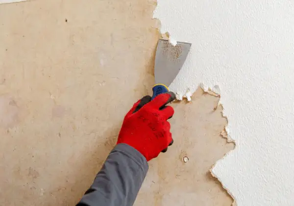 Main tenant, une spatule pour décoller du papier peint. Une astuce de grand-mère pour un chantier propre.